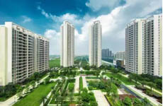 平沙九號(hào)1期，為什么能獲得“市優(yōu)秀住宅建筑設(shè)計(jì)一等獎(jiǎng)”？